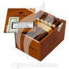 COHIBA-LINEA 1492 - SIGLO IV-Box-43