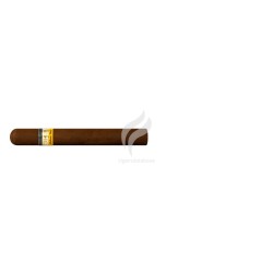 COHIBA-LINEA 1492 - SIGLO IV-Stick-43