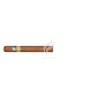 COHIBA-LINEA 1492 - SIGLO IV-Stick-44