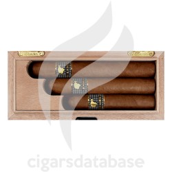COHIBA-BEHIKE - BHK ESTUCHE - 2010-Box-1681