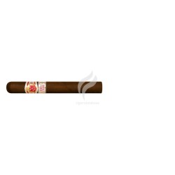 HOYO DE MONTERREY-DOUBLE EPICURE - 2010 (TRAVEL RETAIL)-Stick-1704