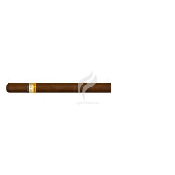 COHIBA-LINEA 1492 - SIGLO V-Stick-47