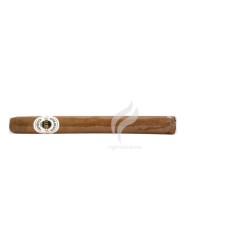 ASHTON-CLASSIC CHURCHILL-Stick-1741