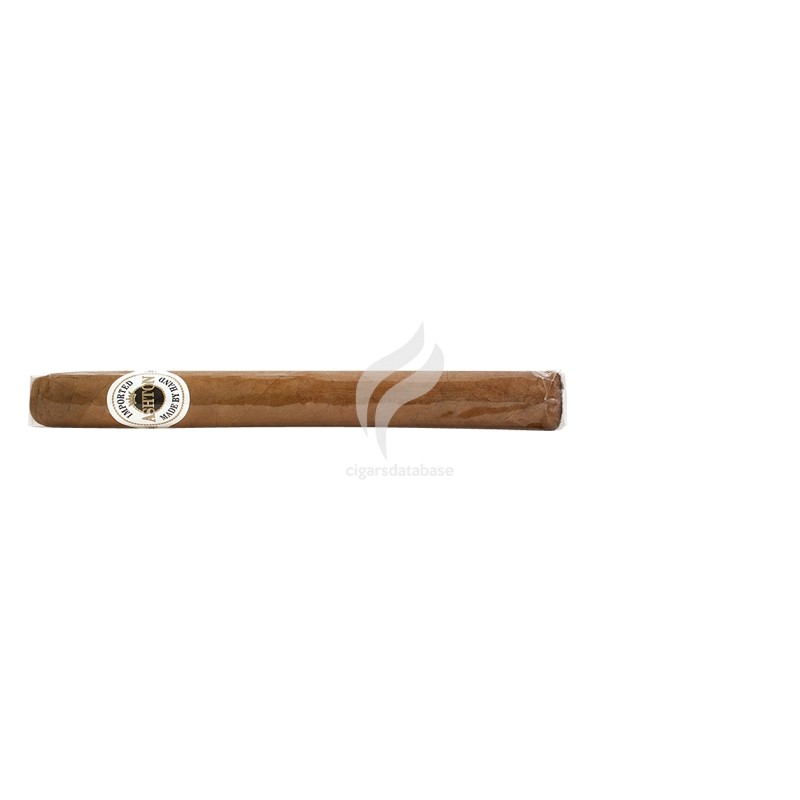 ASHTON-CLASSIC CHURCHILL-Stick-1741