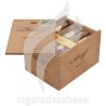 DAVIDOFF-SHORT T-Box-1863