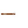 ASHTON-HERITAGE CORONA GORDA-Stick-1866
