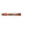 PARTAGAS-VISIBLE-Tube horizontal-2049