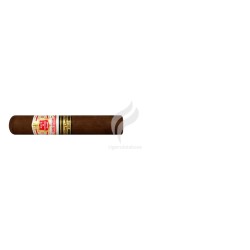 HOYO DE MONTERREY-GRAND EPICURE - 2013-Stick-2069