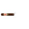 HOYO DE MONTERREY-GRAND EPICURE - 2013-Stick-2069