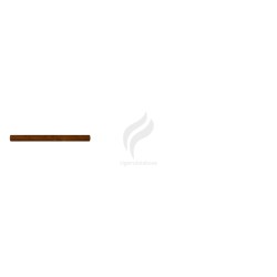 PARTAGAS-MINI BAN CB LATA - 2013-Stick-2089