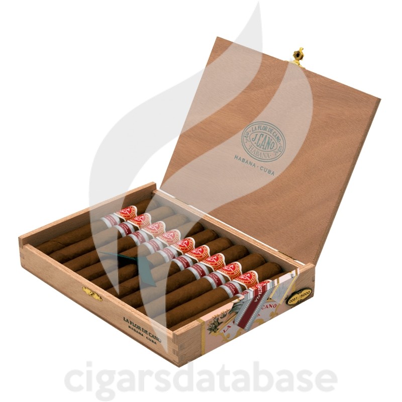 LA FLOR DE CANO-GRAN CANO - 2013 - REINO UNIDO-Box-2301