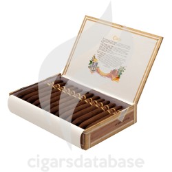 CUABA-EXCLUSIVOS-Box-57