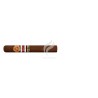 RAMON ALLONES-GRAN ROBUSTO - 2008 - BENELUX-Stick-2313