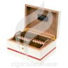 HOYO DE MONTERREY-HOYO DE MONTERREY GLOBAL BRAND WOODEN HUMIDOR 2024 (SET)-Box-2340