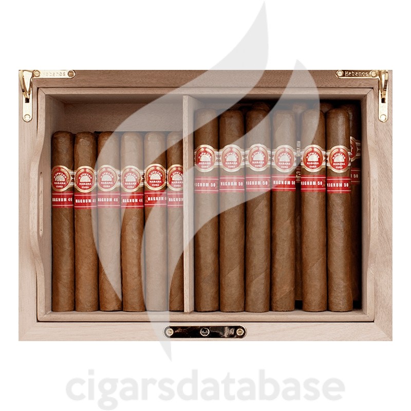 H.UPMANN-H.UPMANN GLOBAL BRAND WOODEN HUMIDOR 2024 (SET)-Box-2341