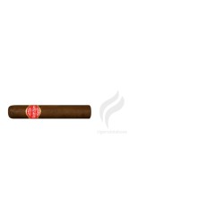 QUINTERO-PETIT QUINTEROS-Stick-2379