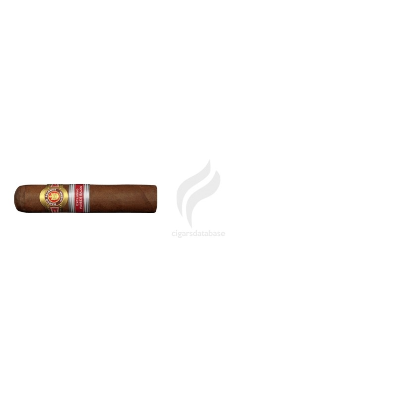 RAMON ALLONES-ROBUSTO CORTO - 2013 - PAISES BAJOS-Stick-2382