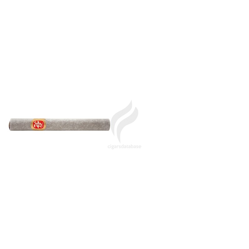 FONSECA-KDT CADETES-Stick-66