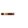 BOLIVAR-BELGRAVIA - 2015 - GRAN BRETANA-Stick-3231