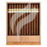 COHIBA-PRESIDENTIAL HUMIDOR CELAC SUMMIT-Box-3246