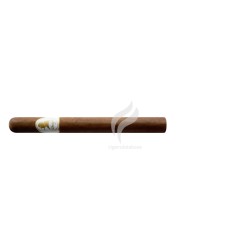 DAVIDOFF-WINSTON CHURCHILL - CHURCHILL-Stick-3447