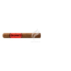 CAMACHO-COROJO - TORO-Stick-3573