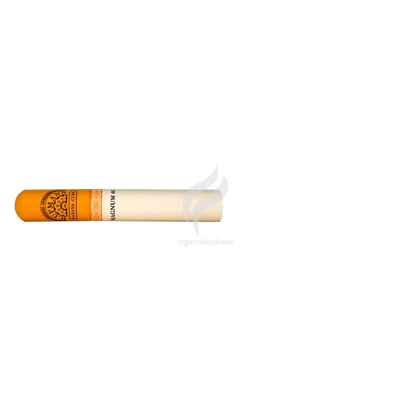 H.UPMANN-MAGNUM 46-Tube horizontal-74