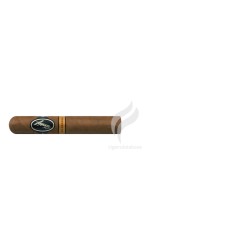 DAVIDOFF-NICARAGUA BOX PRESSED ROBUSTO-Stick-5973