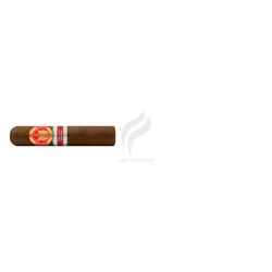 SAINT LUIS REY-TESOROS - 2016 - ESPAÑA-Stick-6237