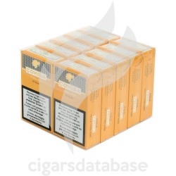 COHIBA-SHORT BAN CB-Box-6297