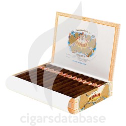 H.UPMANN-PETIT CORONAS-Box-80