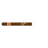 HOYO DE MONTERREY-CHURCHILLS-Stick-84