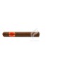 LOPAR-TORO-Stick-7365