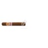 RAMON ALLONES-HERMITAGE - 2017 - RUSIA-Stick-7821