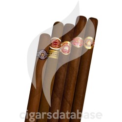 SAMPLER-C SAMPLER BIG 2-Box-7914