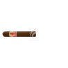 HOYO DE MONTERREY-LE HOYO DE RIO SECO-Stick-8132