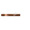 HOYO DE MONTERREY-ESCOGIDOS (CDH)-Stick-8282