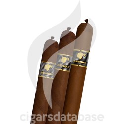 SAMPLER-C SAMPLER BHK-Box-8436