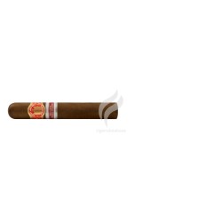 SAINT LUIS REY-HERFING - 2017 - MEDIO ORIENTE-Stick-8451