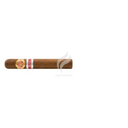 RAMON ALLONES-NUEVO MUNDO - 2017 - COSTA RICA-Stick-9072