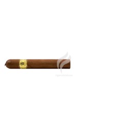 TRINIDAD-ESMERALDA-Stick-9408