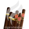 SAMPLER-C SAMPLER NEW MADURO 2-Box-9419