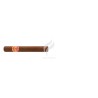 PARTAGAS-CAPITOLS-Stick-9545