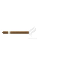 DAVIDOFF-SIGNATURE AMBASSADRICE-Stick-9573