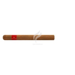 PATORO-GRAN ANEJO RESERVA - CHURCHILL -Stick-9590