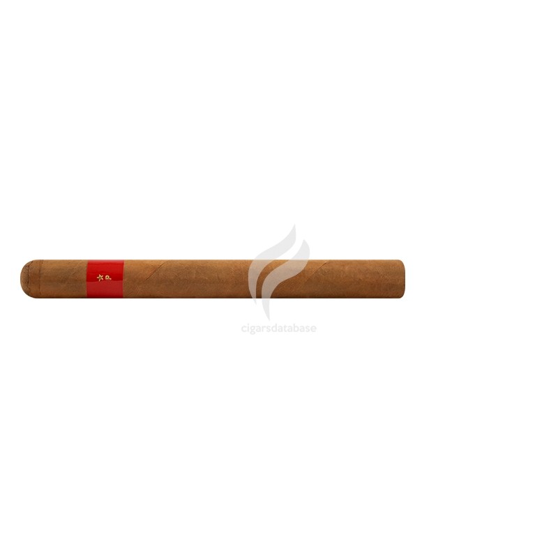 PATORO-GRAN ANEJO RESERVA - CHURCHILL -Stick-9590