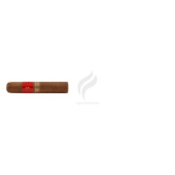 PATORO-VINTAGE - PETIT ROBUSTO-Stick-9594