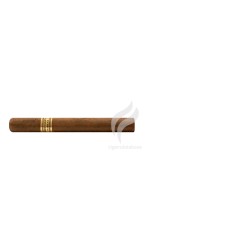 ROMEO y JULIETA-MESSENGERS OF PEACE CABINET SELECTION - PRECASTRO-Stick-9643