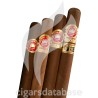 SAMPLER-C SAMPLER NEW CONNOISSEURS-Box-9751