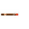 HOYO DE MONTERREY-PRIMAVERAS - YEAR OF THE OX - 2021-Stick-9752